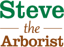 Steve the Arborist